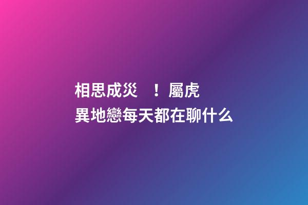 相思成災！屬虎異地戀每天都在聊什么